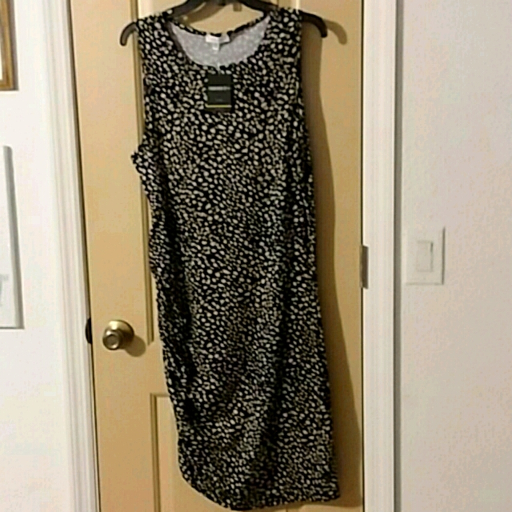 Persaya - Forever 21 Plus Sleeveless Summer Dress